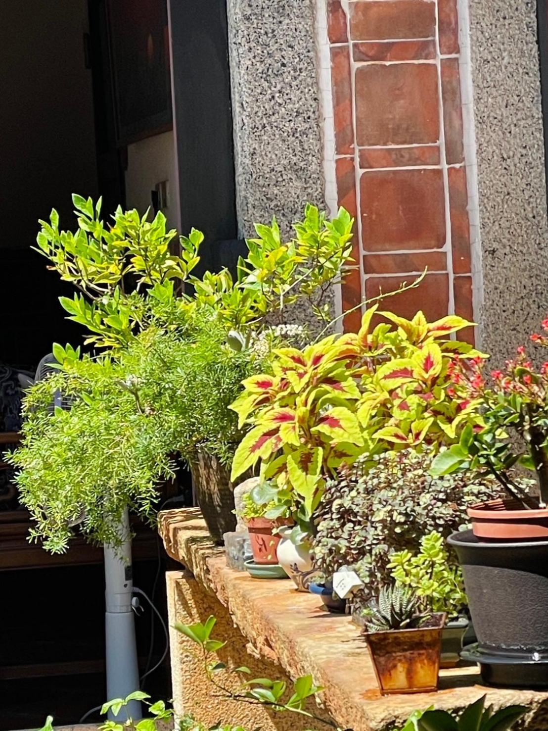 Grace Homestay Jincheng Exteriér fotografie